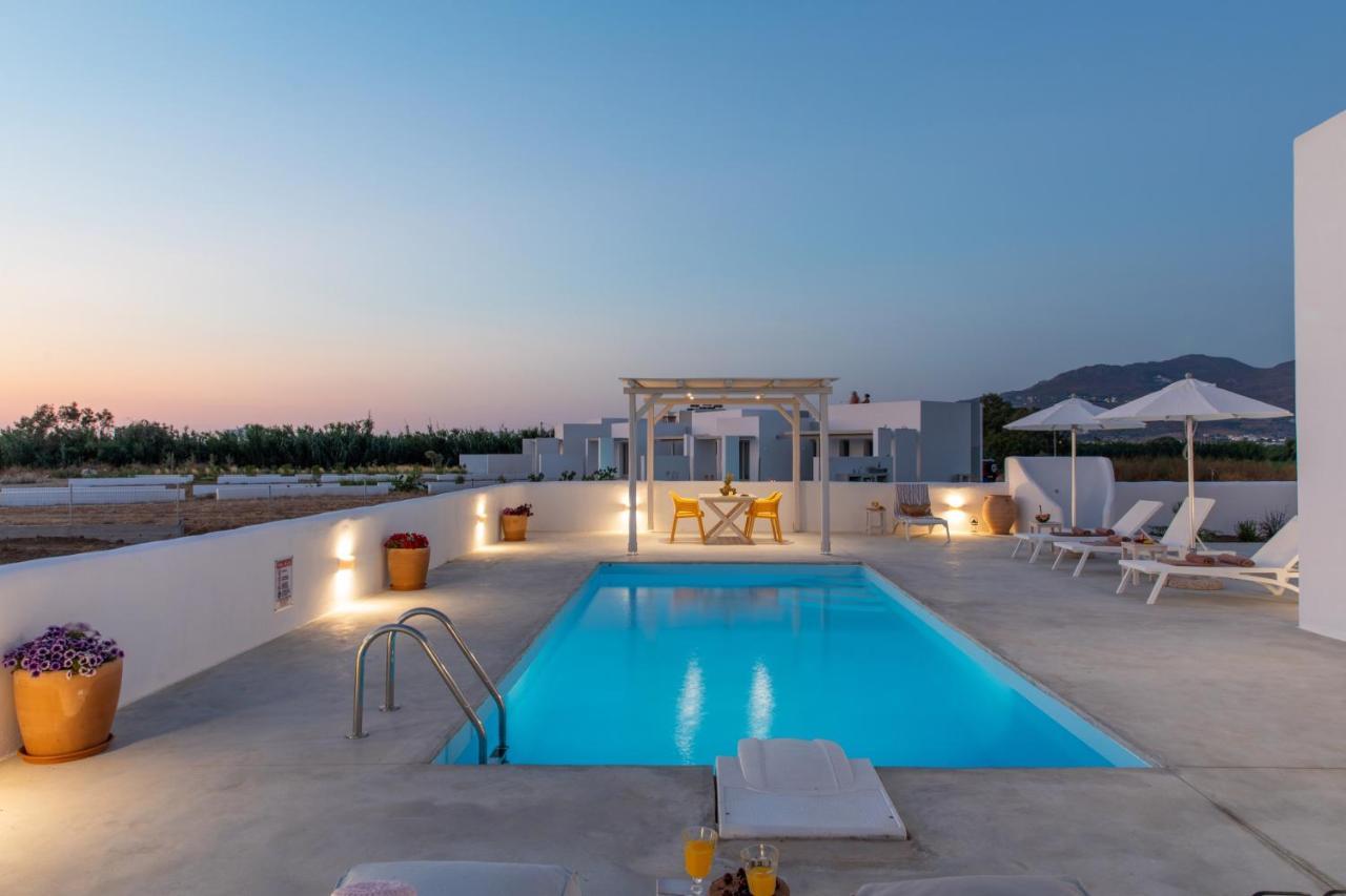 Naxian Lounge Villas Naxos City Экстерьер фото